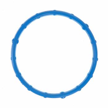 2009 Ford Mustang Engine Coolant Crossover Pipe Gasket