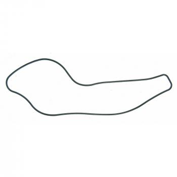 2001 Acura RL Engine Water Pump Gasket