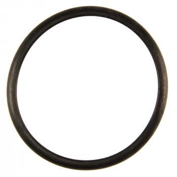 2002 Lincoln LS Engine Coolant Thermostat Seal