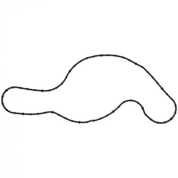 2015 Mazda CX-9 Engine Water Pump Gasket