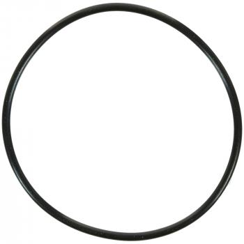 1999 Cadillac DeVille Engine Water Pump O-Ring