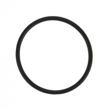 2020 Lincoln Continental Engine Coolant Thermostat Seal