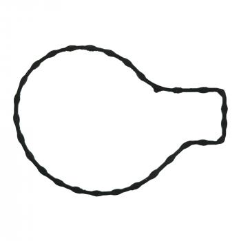 2015 Lexus CT200h Engine Water Pump Gasket