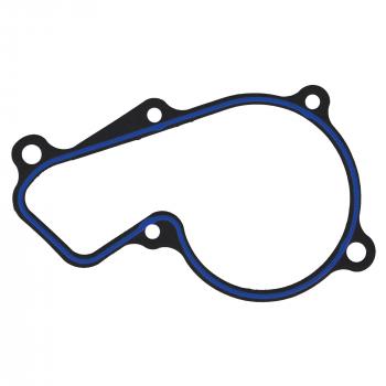 2016 Hyundai Elantra GT Engine Water Pump Gasket