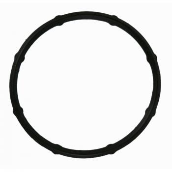 2016 Hyundai Elantra GT Engine Coolant Outlet Seal