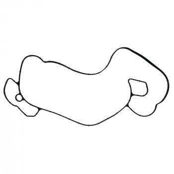 2021 Ford F-450 Super Duty Engine Water Pump Gasket