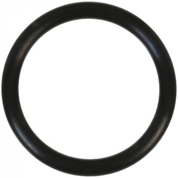 1973 International 1010 Engine Coolant Water Inlet O-Ring