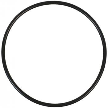 1990 Ford F53 Engine Oil Filter Mounting O-Ring