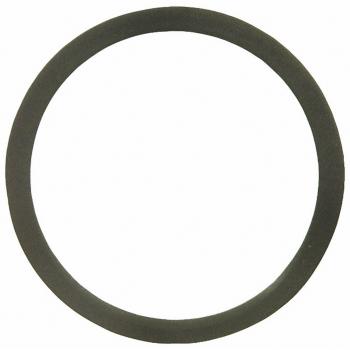 1981 Pontiac T1000 Distributor Mounting Gasket