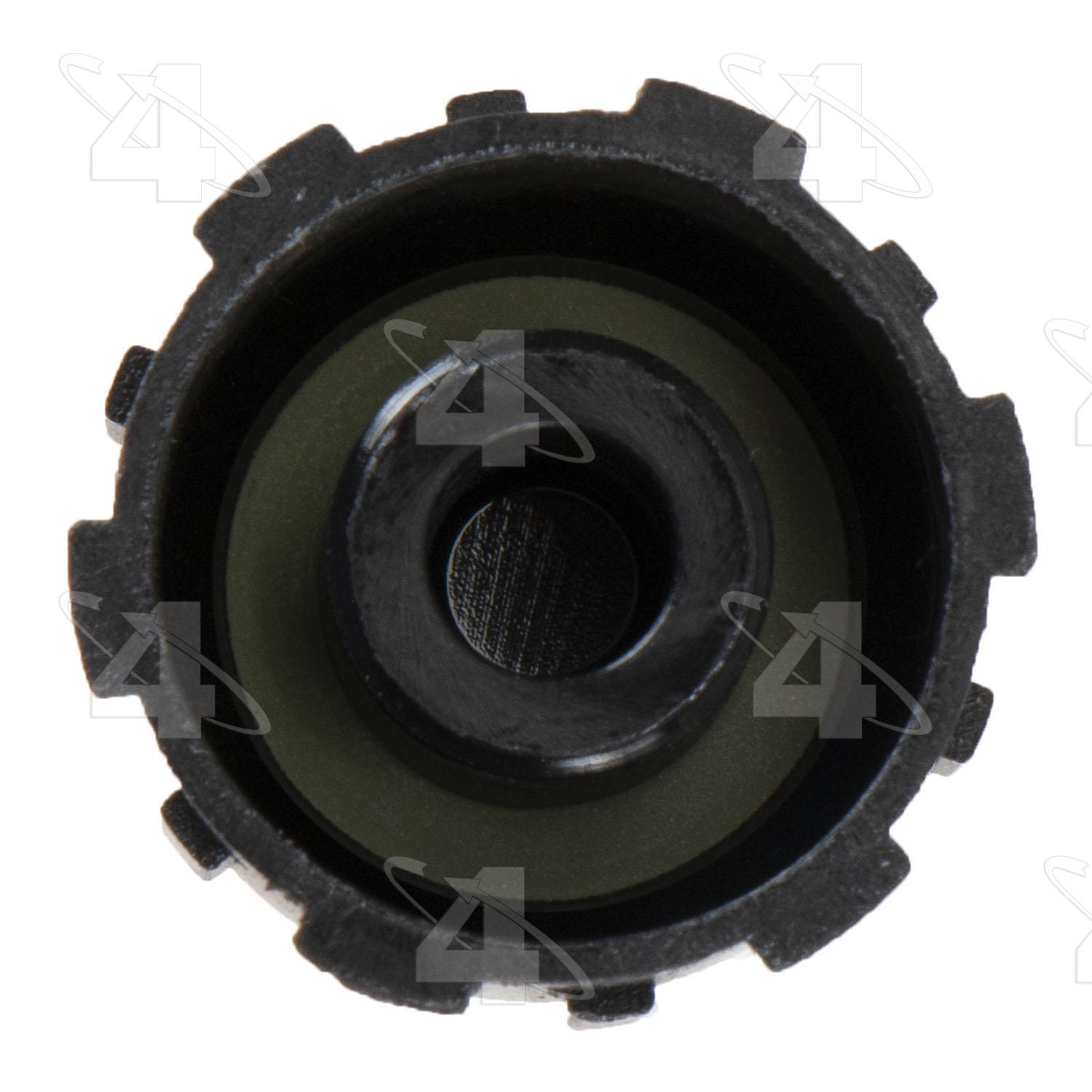 Four Seasons 59900 - A/C Service Valve Cap Four Seasons 59900 A/C Service Valve Cap product image 3 of 4