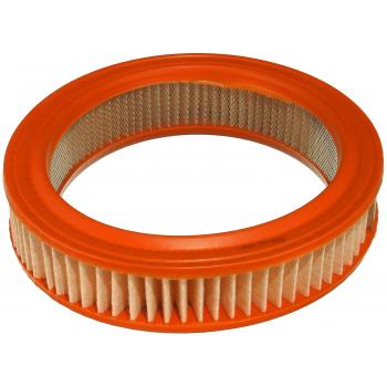 FRAM CA3784 - Air Filter Product image