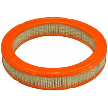 FRAM CA3930 - Air Filter Product image