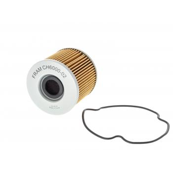 FRAM CH6000 - Engine Oil Filter Product image