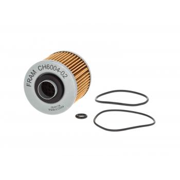 FRAM CH6004 - Engine Oil Filter Product image