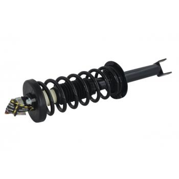 2015 Honda Accord Suspension Strut and Coil Spring Assembly Rear GSP 836365 image 1 of 3