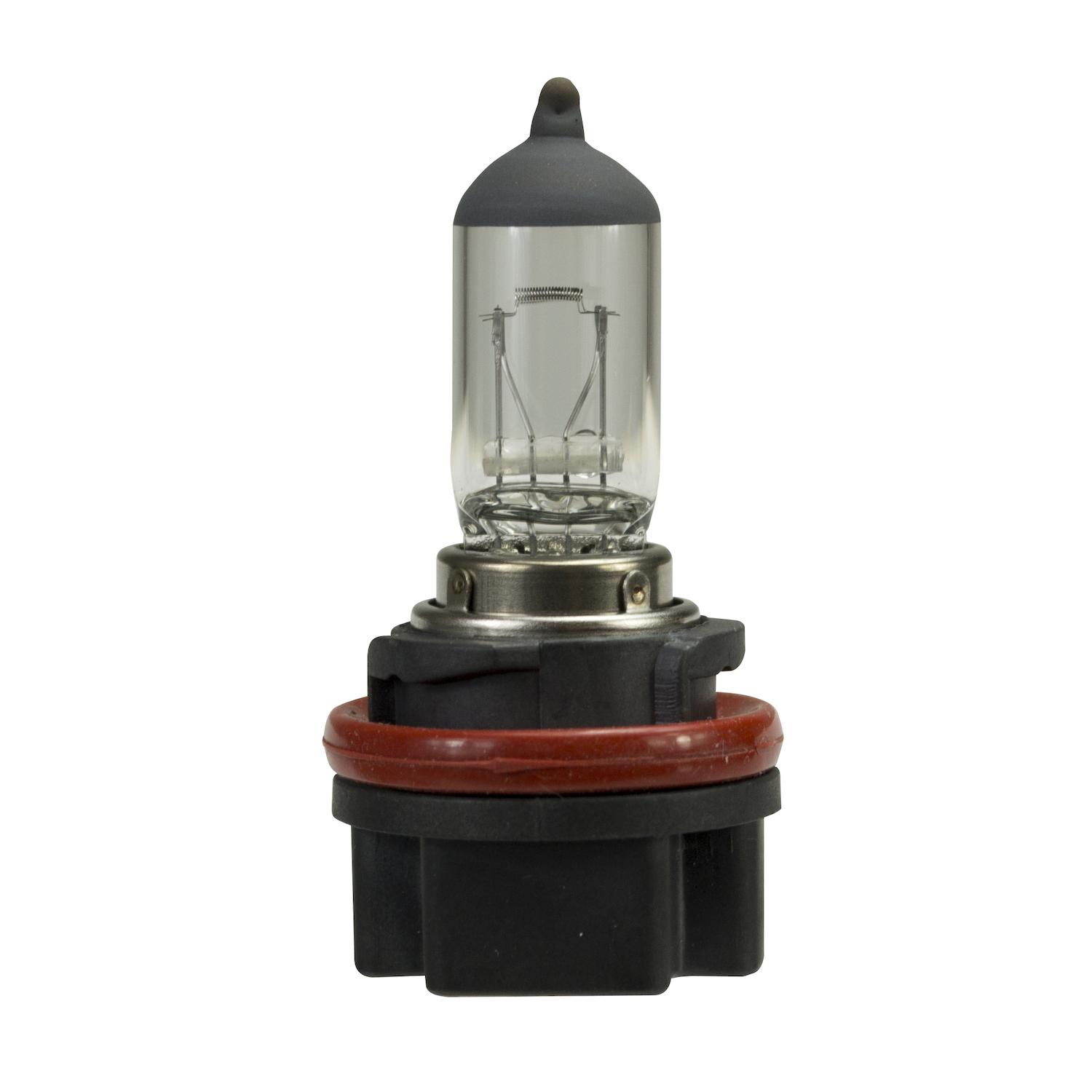 HELLA 358127672 - Multi Purpose Light Bulb HELLA 358127672 Multi Purpose Light Bulb product image 1 of 7