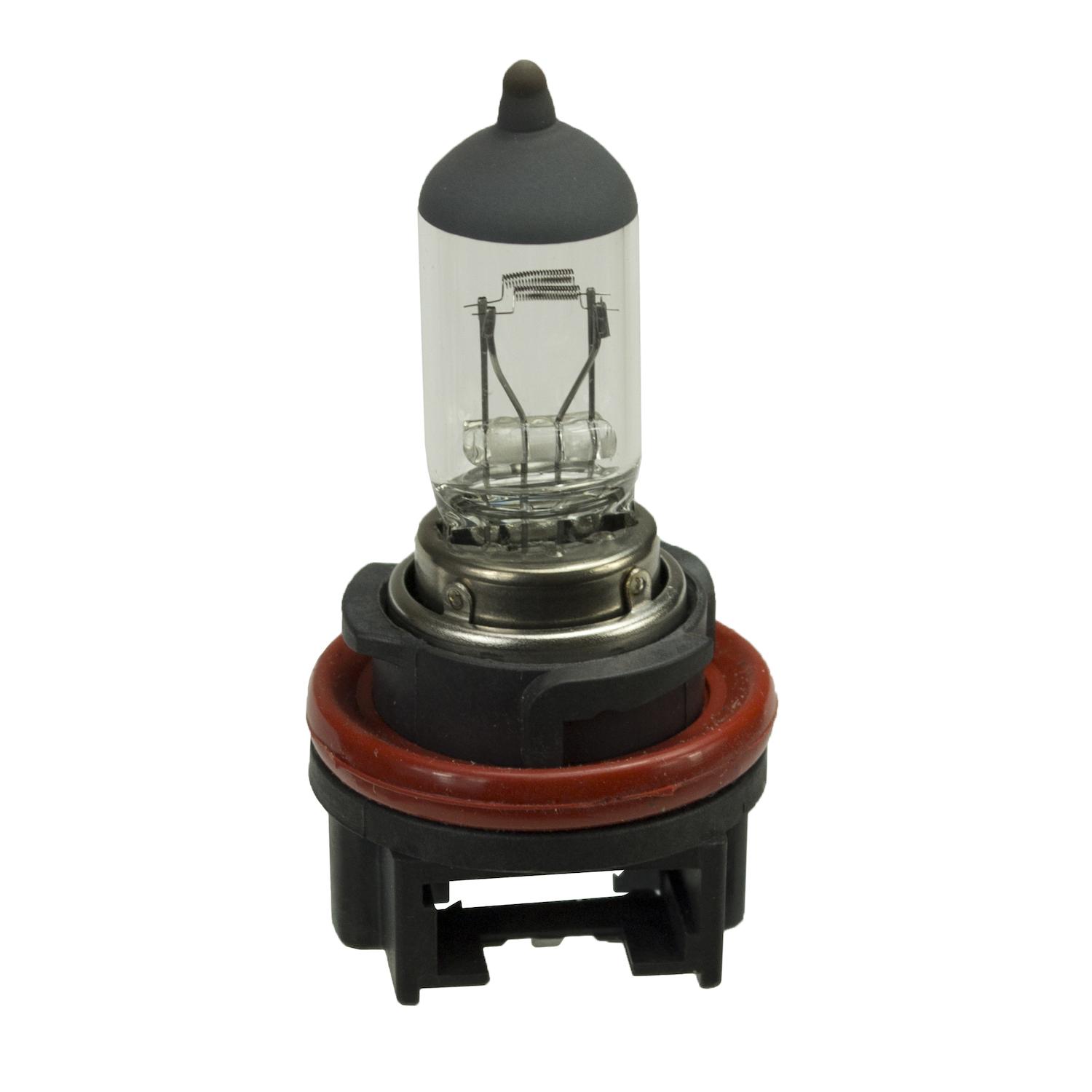 HELLA 358127672 - Multi Purpose Light Bulb HELLA 358127672 Multi Purpose Light Bulb product image 5 of 7
