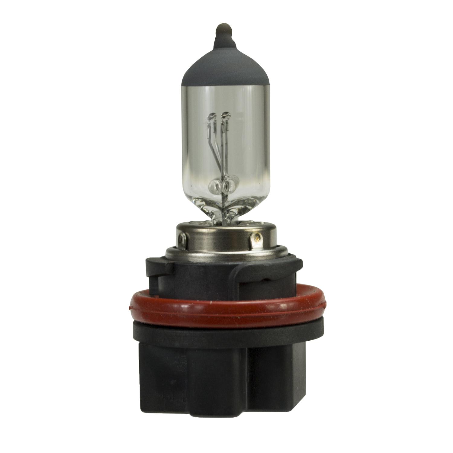 HELLA 358127672 - Multi Purpose Light Bulb HELLA 358127672 Multi Purpose Light Bulb product image 6 of 7