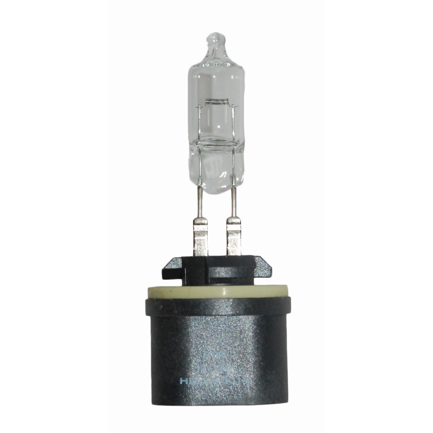 HELLA 884 - Multi Purpose Light Bulb HELLA 884 Fog Light Bulb product image 1 of 2
