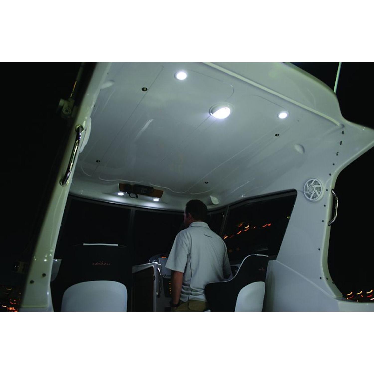 HELLA 959950121 - Dome Light HELLA 959950121 Dome Light product image 11 of 13