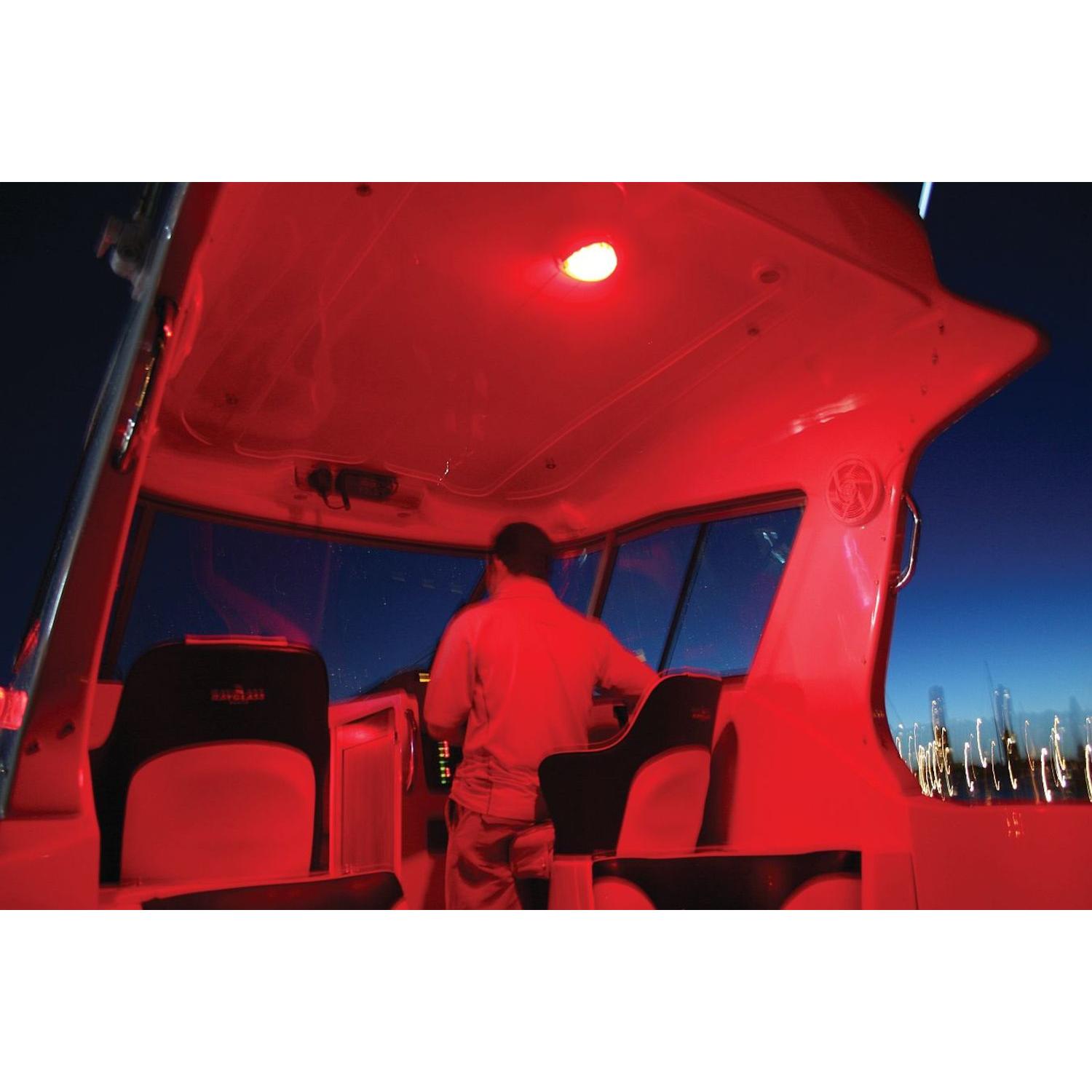HELLA 959950121 - Dome Light HELLA 959950121 Dome Light product image 12 of 13