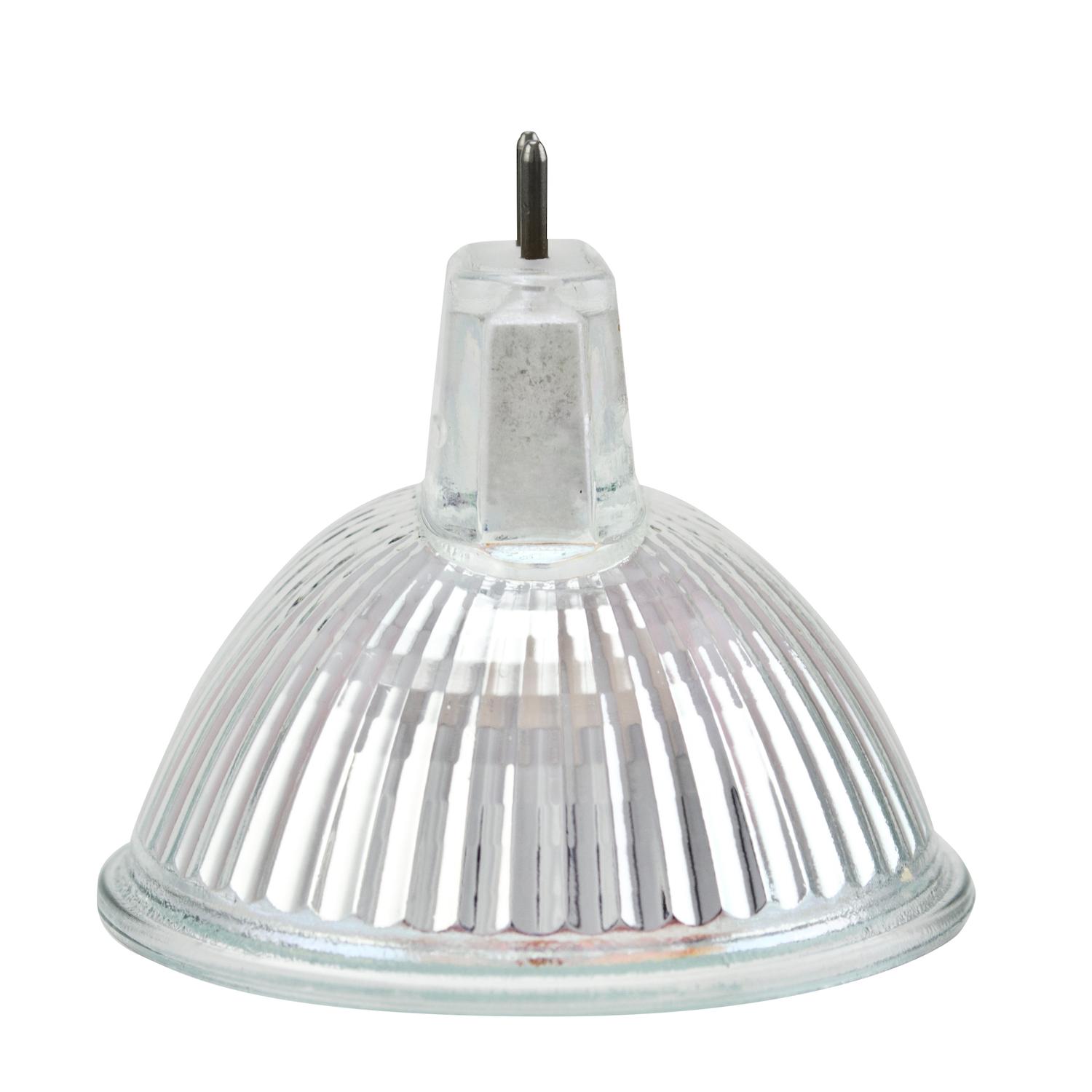 HELLA 998529001 - Multi Purpose Light Bulb HELLA 998529001 Multi Purpose Light Bulb product image 4 of 4