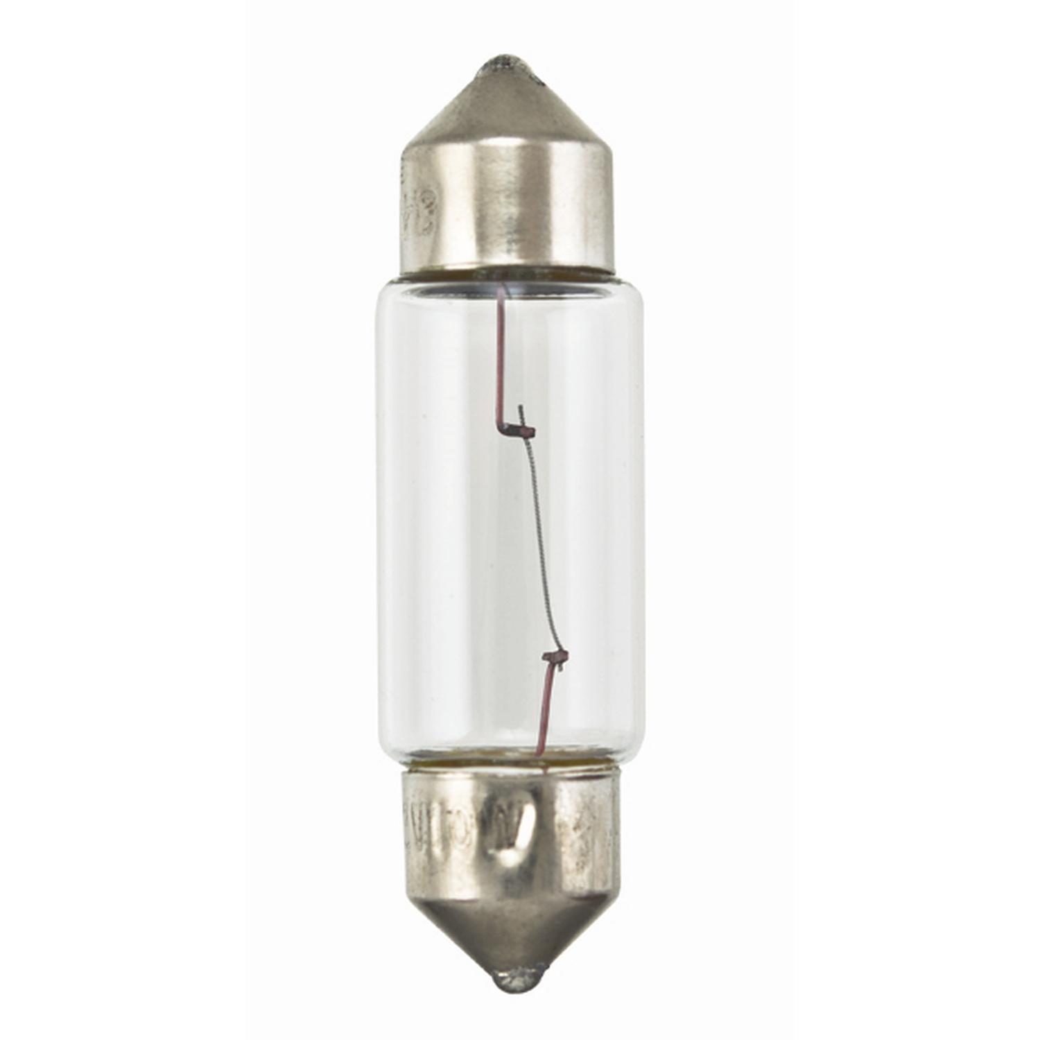 HELLA DE3021TB Courtesy Light Bulb product image 1 of 2