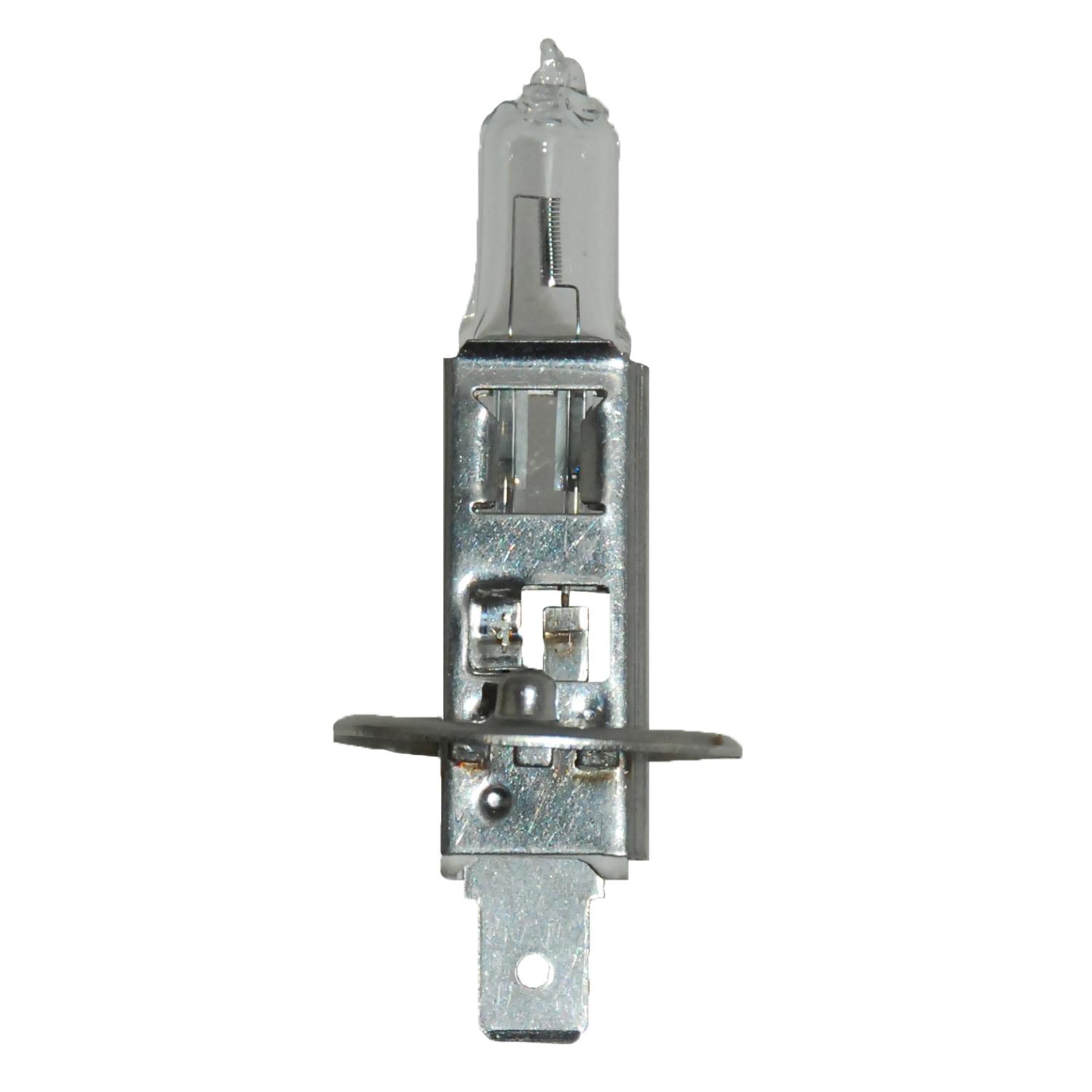 HELLA H1100W - Multi Purpose Light Bulb HELLA H1100W Cornering Light Bulb product image 1 of 2
