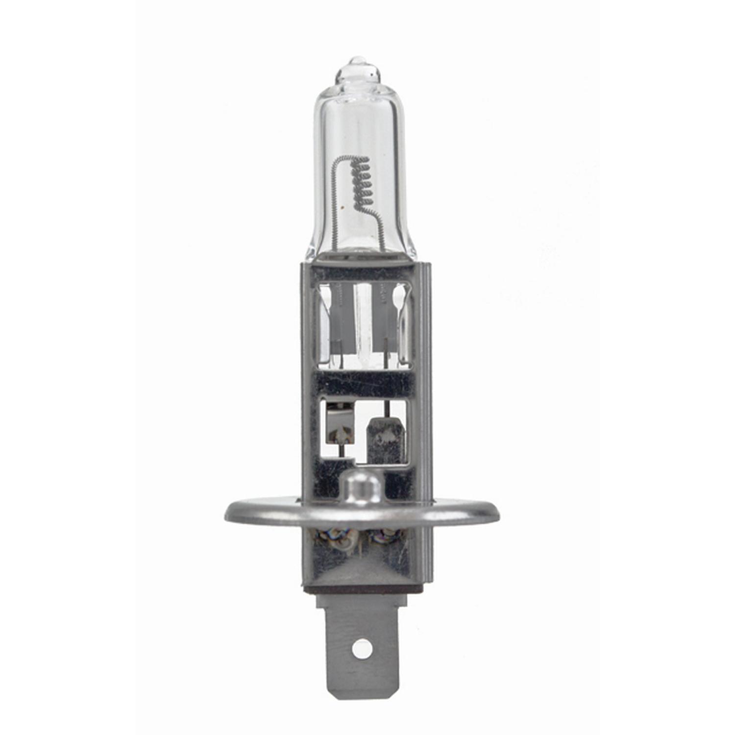HELLA H124V - Multi Purpose Light Bulb HELLA H124V Headlight Bulb product image 1 of 3