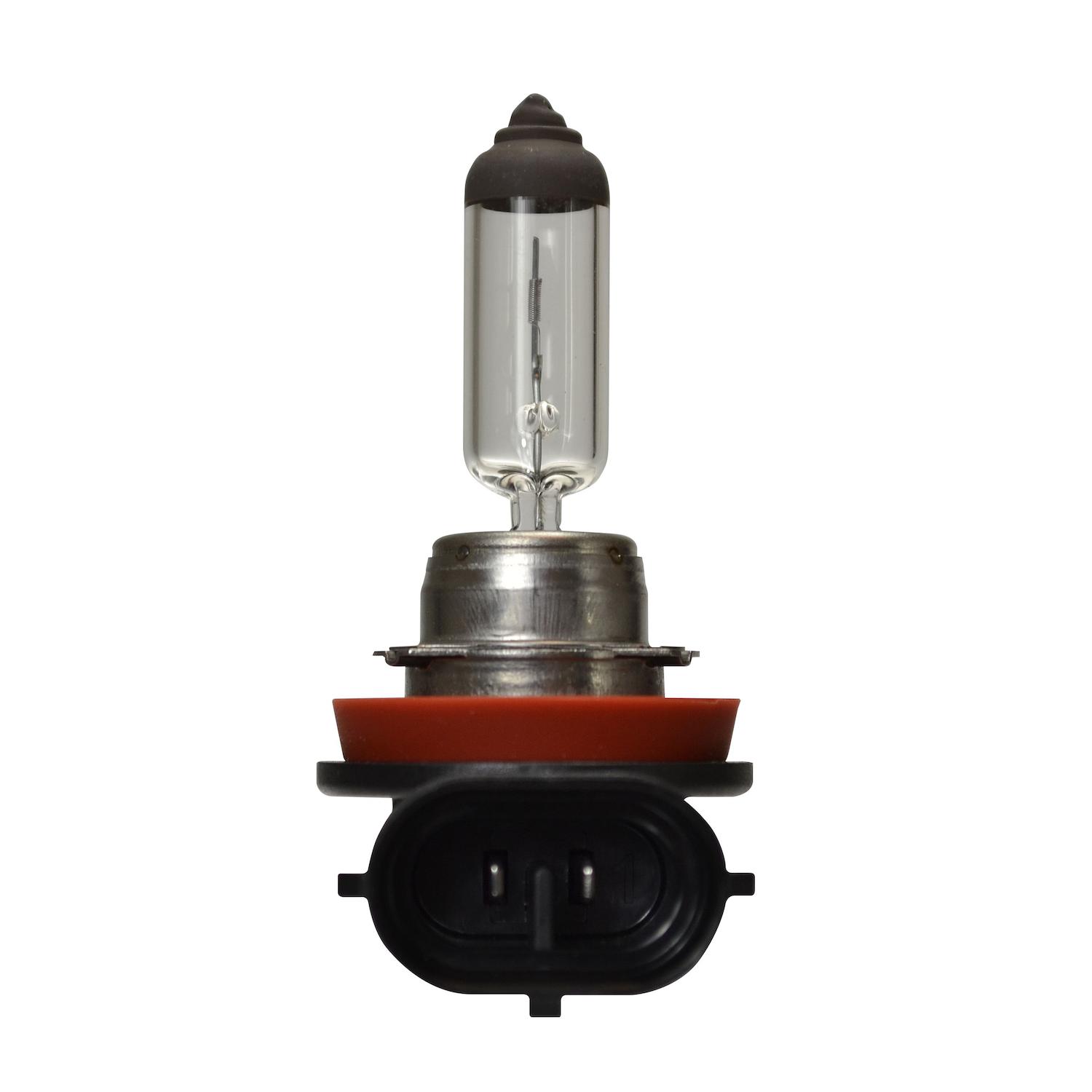 HELLA H16 - Multi Purpose Light Bulb HELLA H16 Fog Light Bulb product image 1 of 5