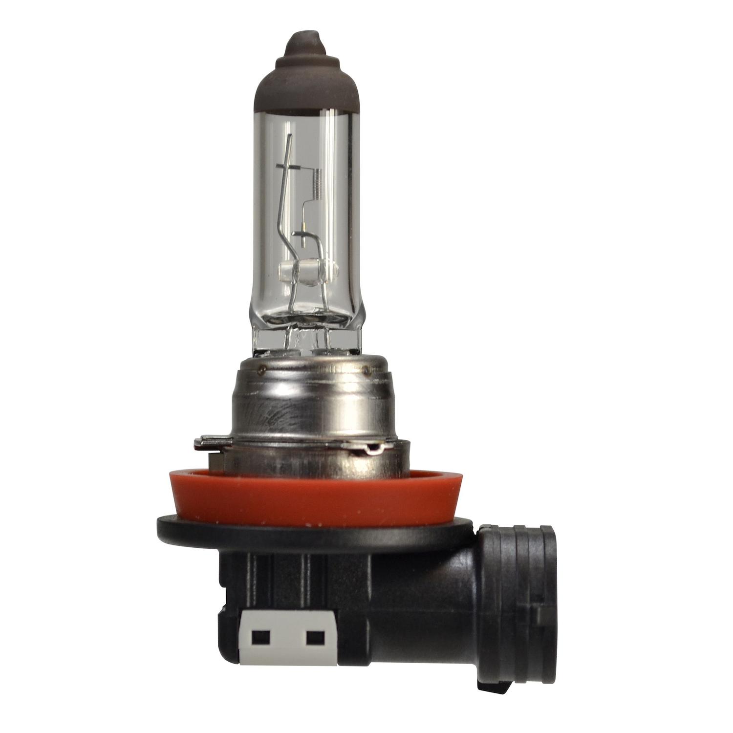 HELLA H16 - Multi Purpose Light Bulb HELLA H16 Fog Light Bulb product image 3 of 5