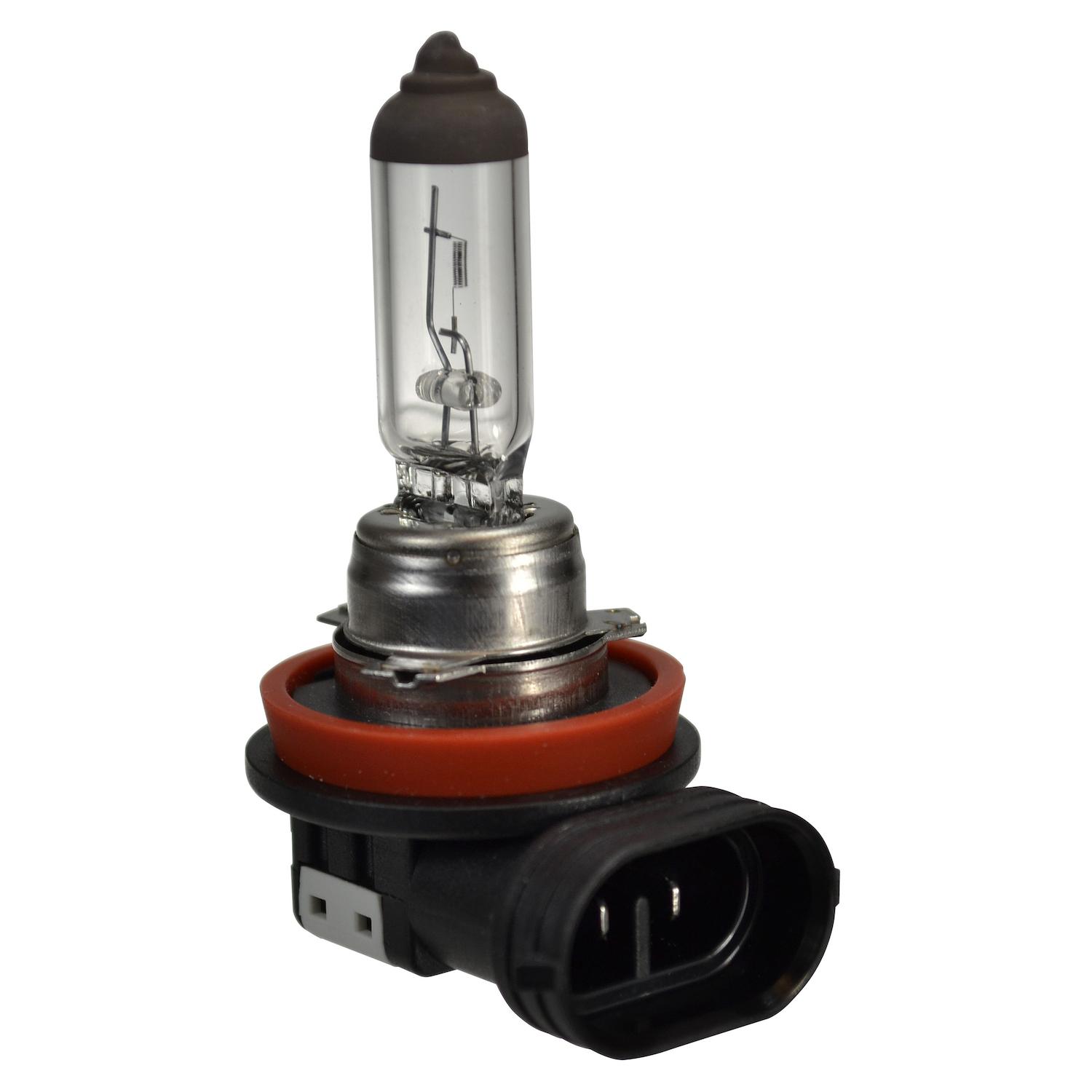 HELLA H16 - Multi Purpose Light Bulb HELLA H16 Fog Light Bulb product image 4 of 5