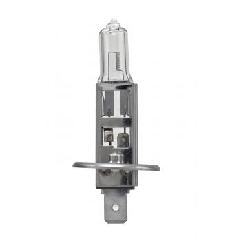 2004 Mercury Monterey Fog Light Bulb Front HELLA H1P50TB image 1 of 2