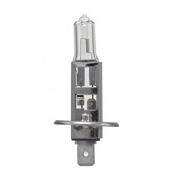 2004 Mercury Monterey Fog Light Bulb Front HELLA H1TB image 1 of 2