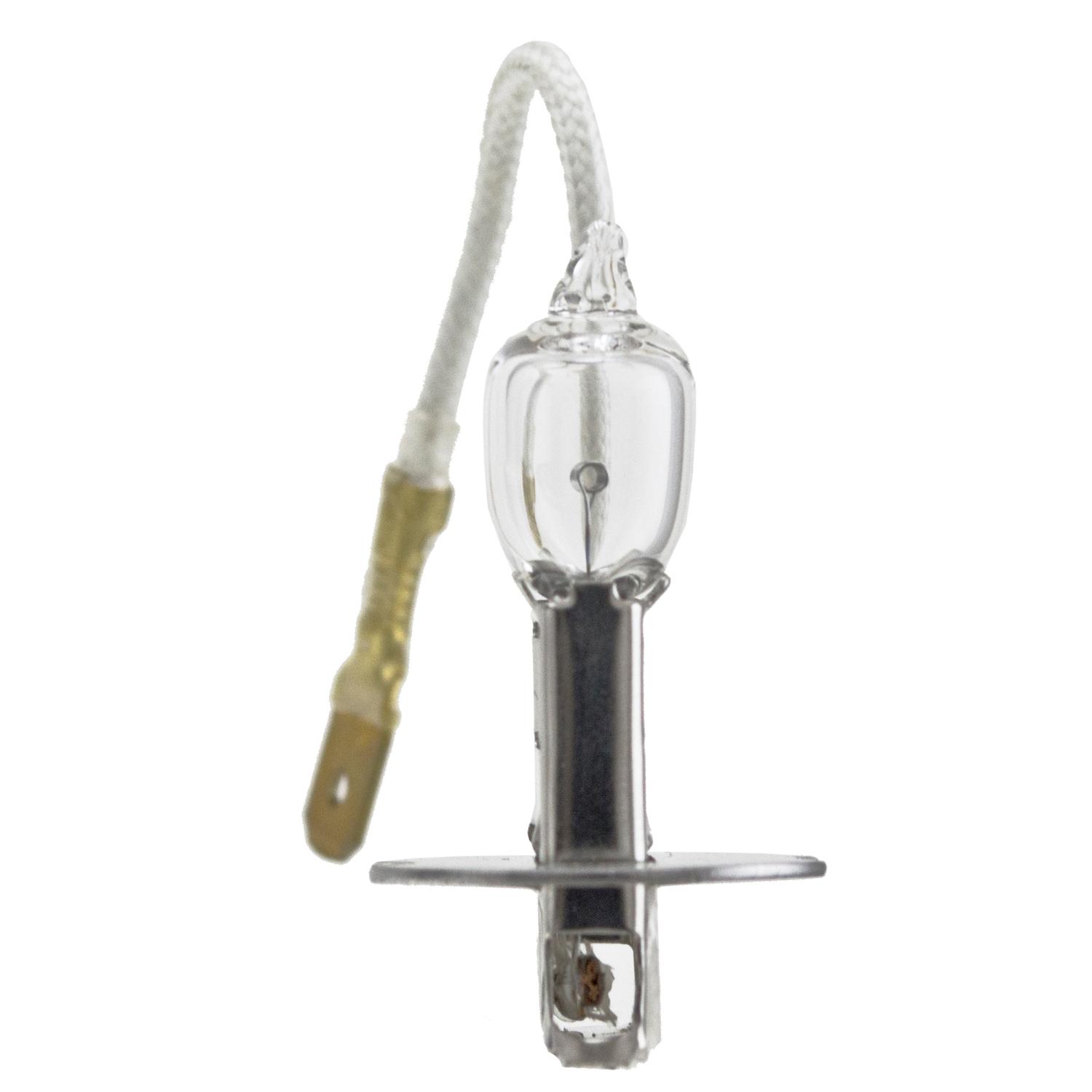 HELLA H83135111 - Multi Purpose Light Bulb HELLA H83135111 Multi Purpose Light Bulb product image 2 of 5