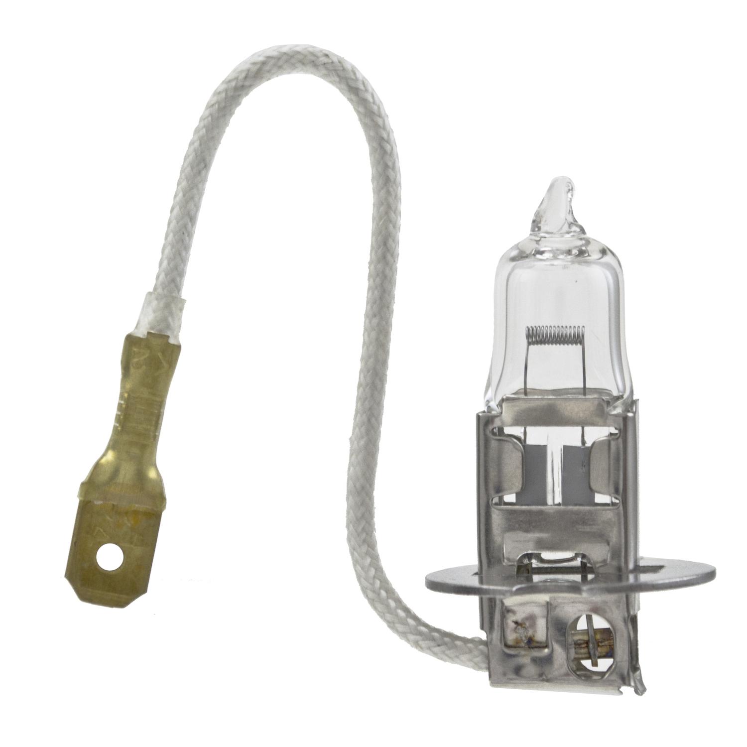 HELLA H83135111 - Multi Purpose Light Bulb HELLA H83135111 Multi Purpose Light Bulb product image 3 of 5