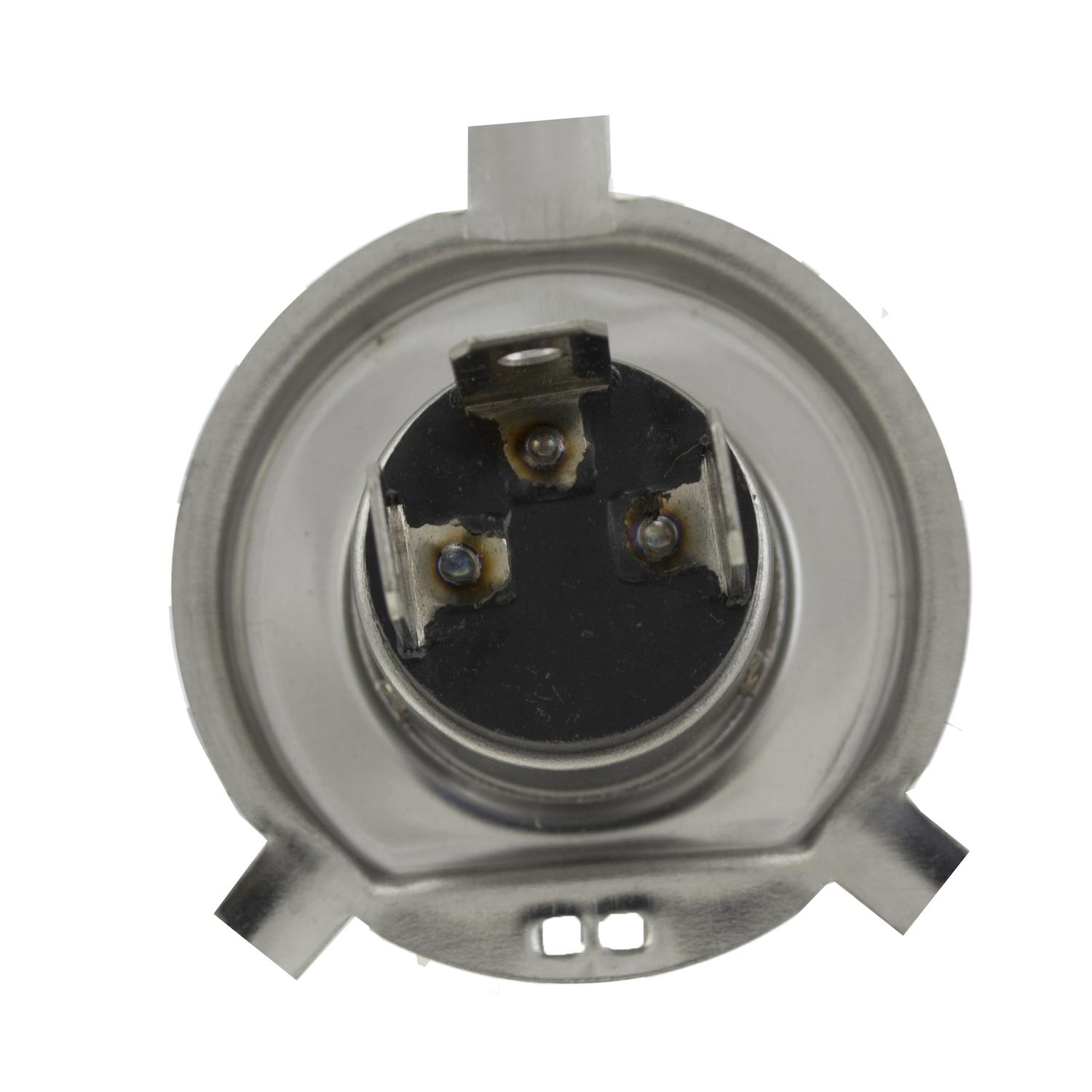 HELLA H83140101 - Multi Purpose Light Bulb HELLA H83140101 Headlight Bulb product image 1 of 7