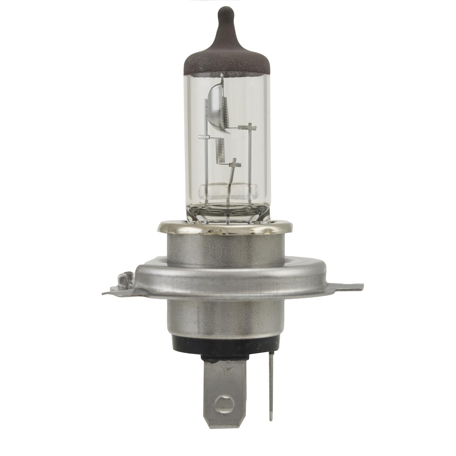 HELLA H83140101 - Multi Purpose Light Bulb HELLA H83140101 Headlight Bulb product image 6 of 7