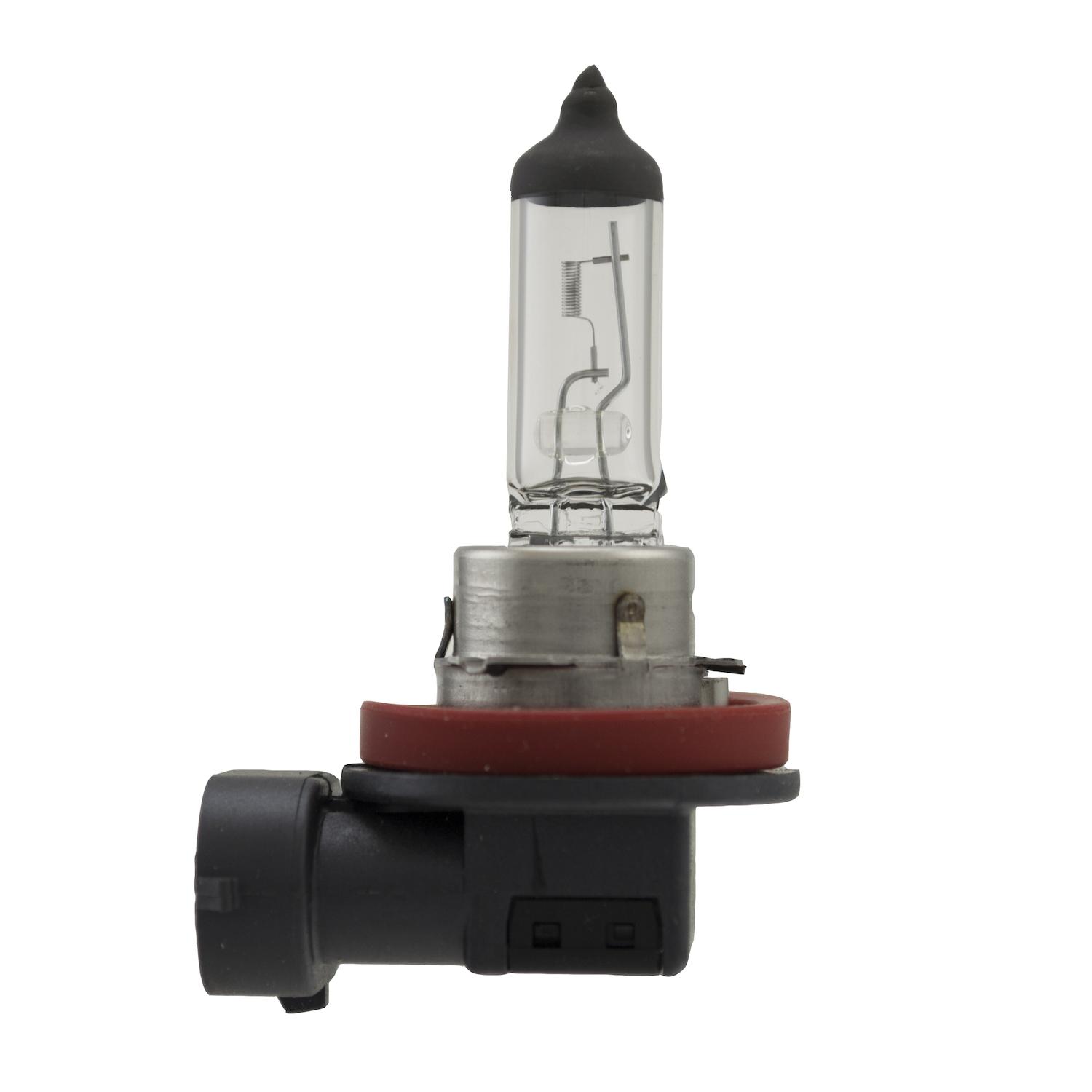 HELLA H83150081 - Daytime Running Light Bulb HELLA H83150081 Cornering Light Bulb product image 6 of 7