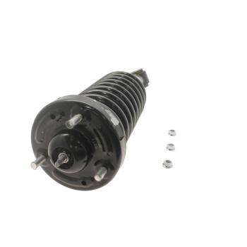 2006 Ford F-150 Suspension Strut and Coil Spring Assembly Front KYB SR4078 image 2 of 2