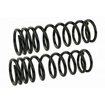 1981 Nissan Maxima Coil Spring Set