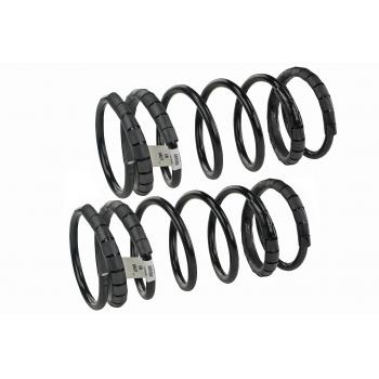 1999 Nissan Altima Coil Spring Set