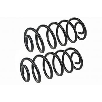 1965 Ford Country Squire Coil Spring Set