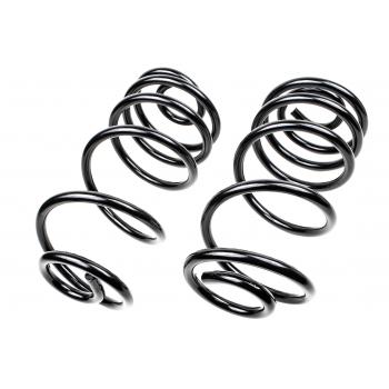 1981 Buick Century Coil Spring Set Rear Mevotech SMS507V image 1 of 1
