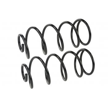 1964 Buick Skylark Coil Spring Set