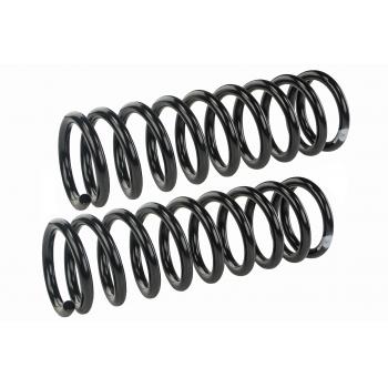 1970 Pontiac Firebird Coil Spring Set