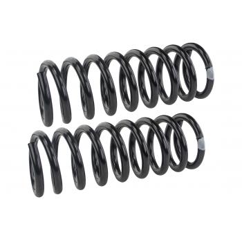 1986 Pontiac Firebird Coil Spring Set