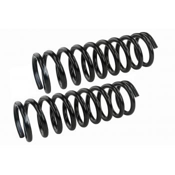 1979 Pontiac Sunbird Coil Spring Set