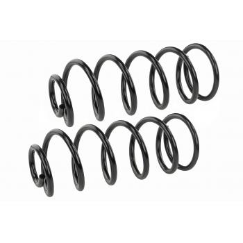 1984 Pontiac Phoenix Coil Spring Set