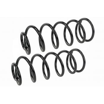 1983 Oldsmobile Cutlass Ciera Coil Spring Set